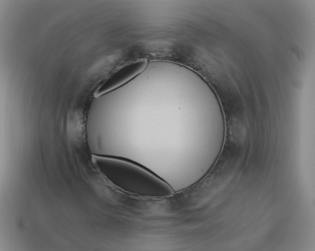 X0000113331298200910051137