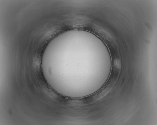 X0000113331300200910051137