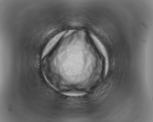 X0000113331301200910051137