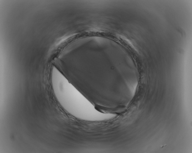 X0000113331303200910051137
