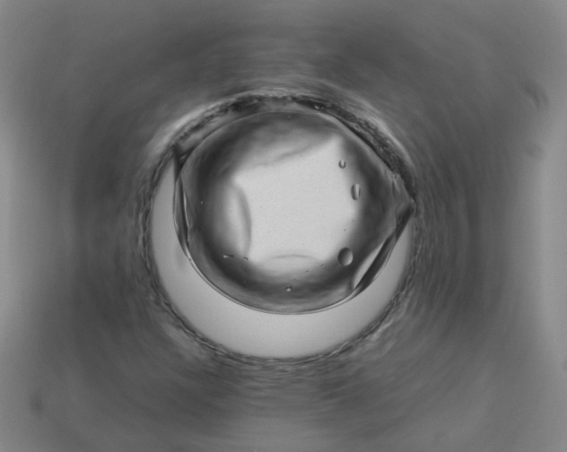 X0000113331304200910051137