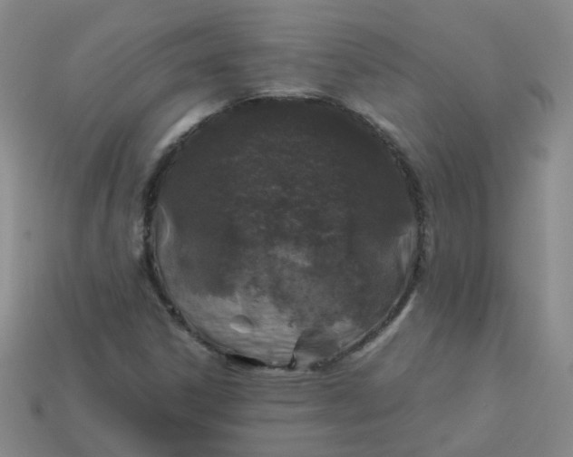 X0000113331306200910051137