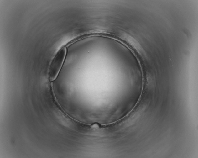 X0000113331308200910051137