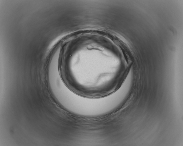 X0000113331310200910051138