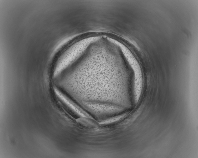 X0000113331311200910051138