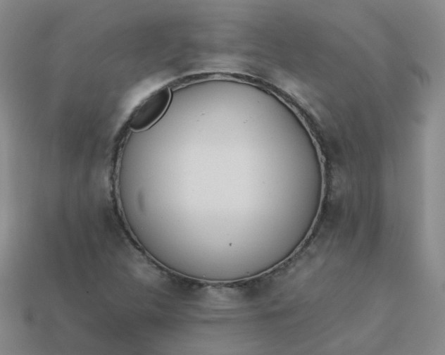 X0000113331312200910051138
