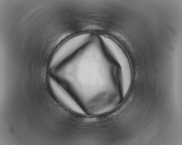 X0000113331313200910051138