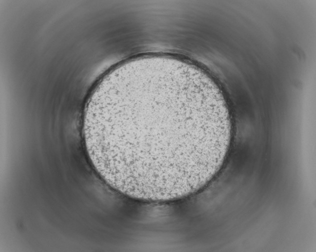 X0000113331314200910051138
