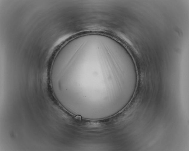 X0000113331315200910051138