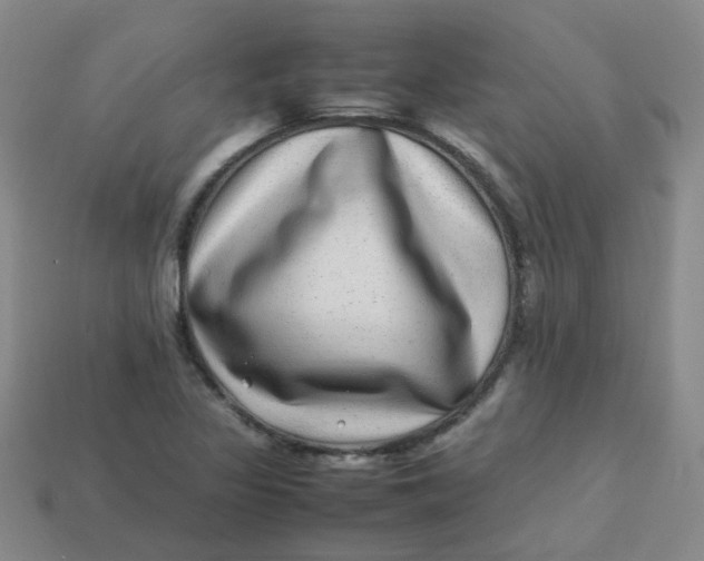 X0000113331317200910051138