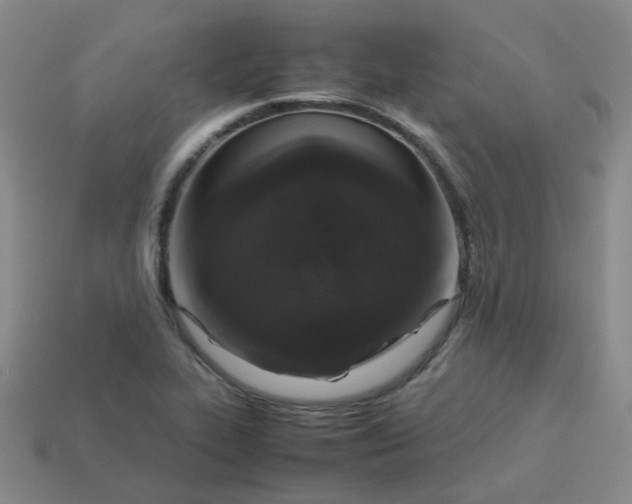 X0000113331319200910051138