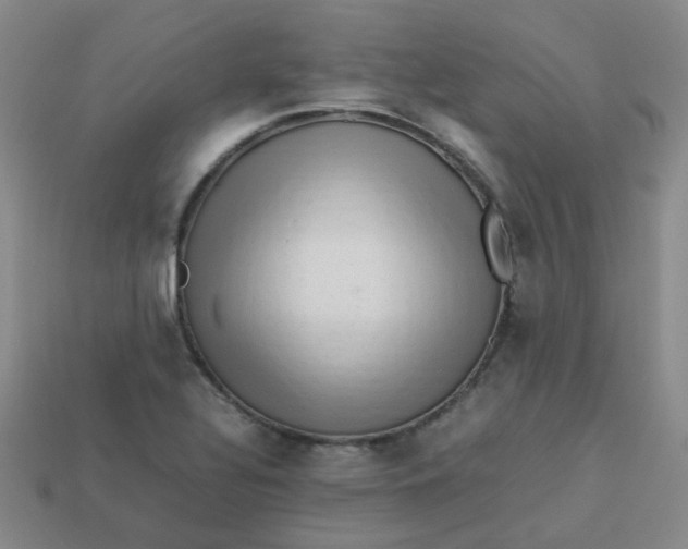 X0000113331320200910051138