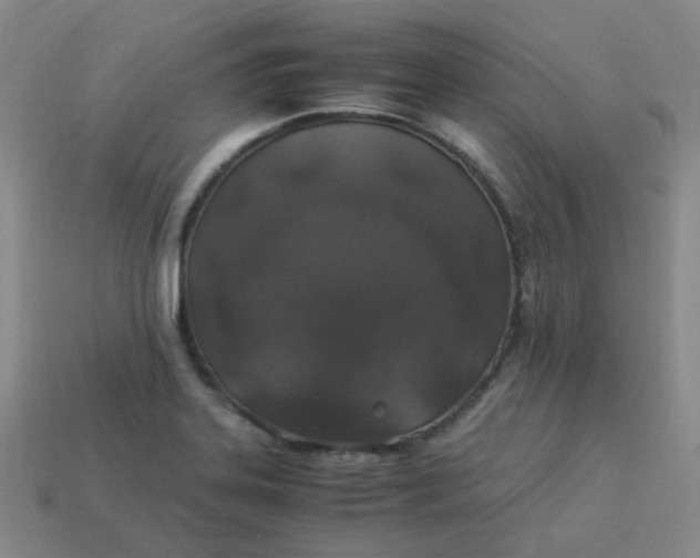 X0000113331323200910051138