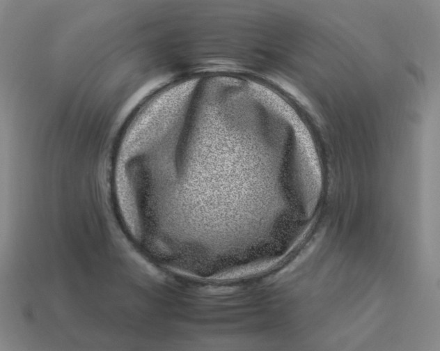 X0000113331325200910051138