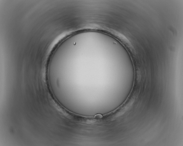 X0000113331326200910051138