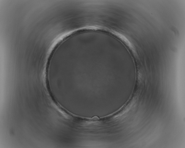 X0000113331327200910051138