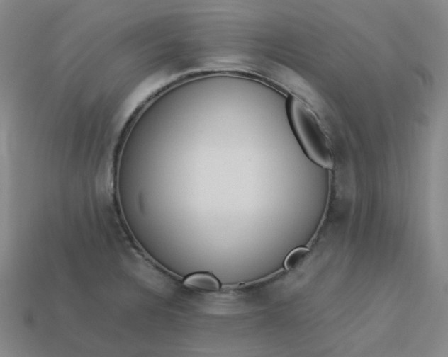 X0000113331328200910051138