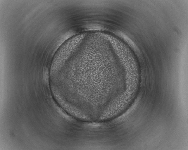 X0000113331329200910051138