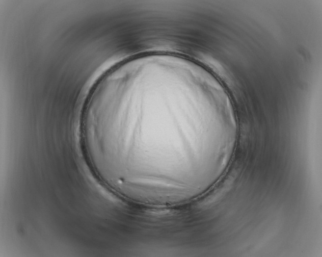 X0000113331331200910051138