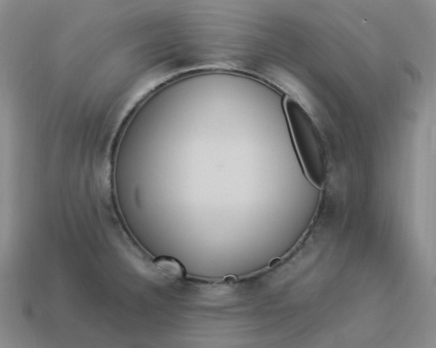 X0000113331332200910051138