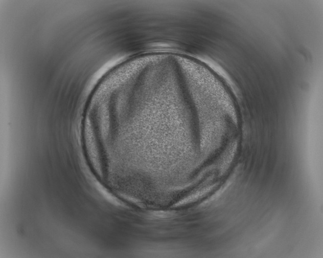 X0000113331333200910051138