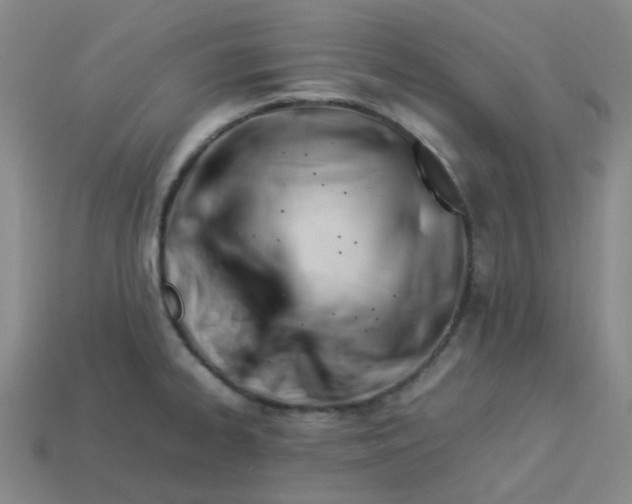 X0000113331334200910051138