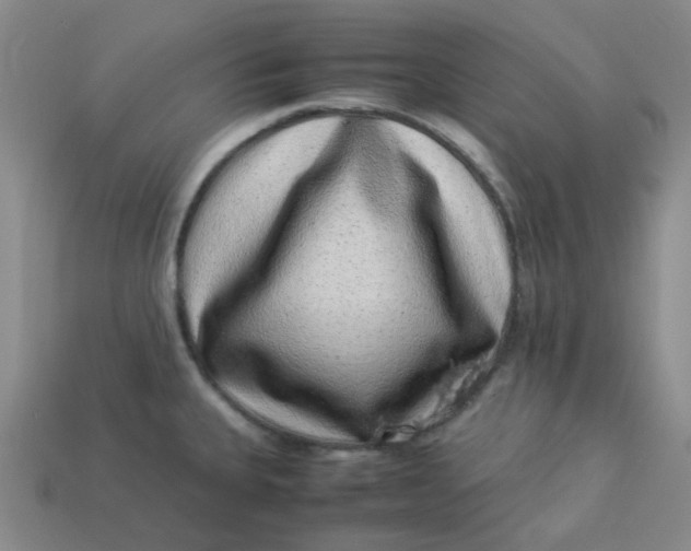 X0000113331335200910051138