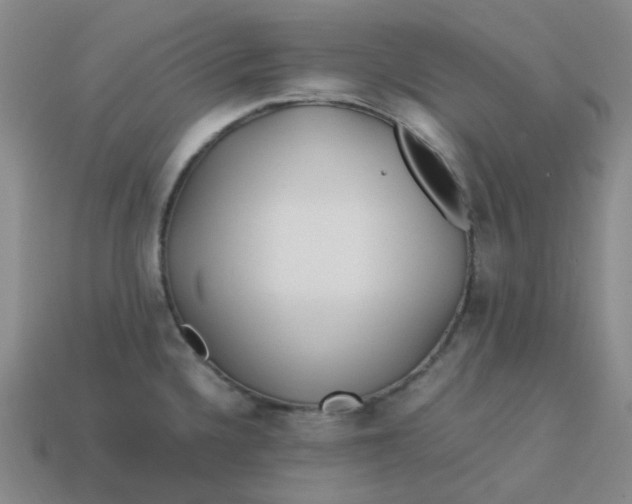 X0000113331336200910051138