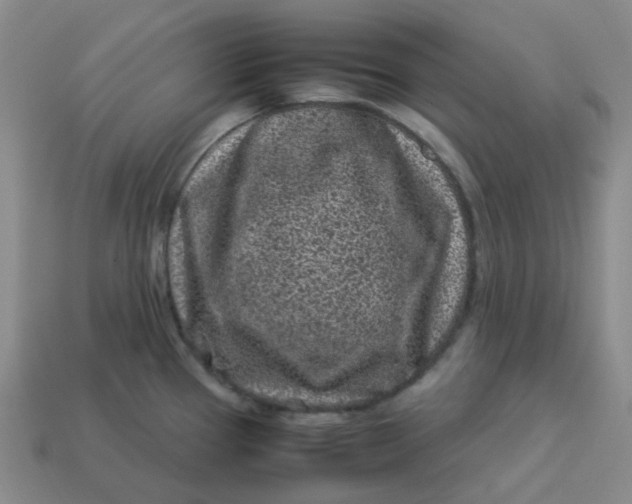 X0000113331337200910051138