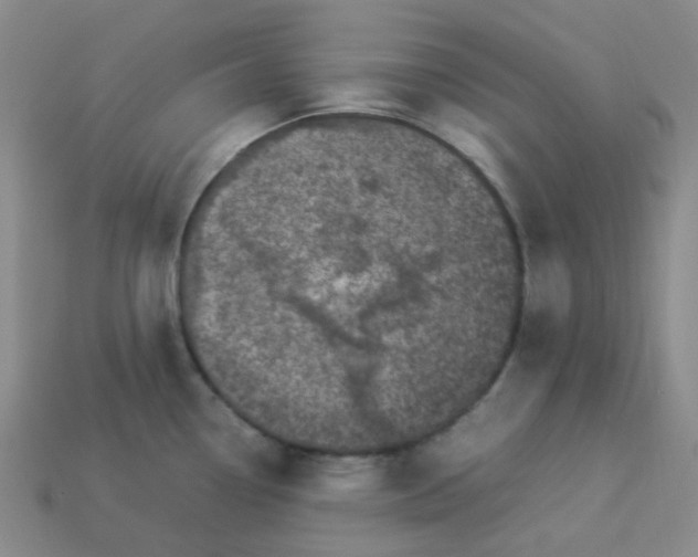 X0000113331338200910051138