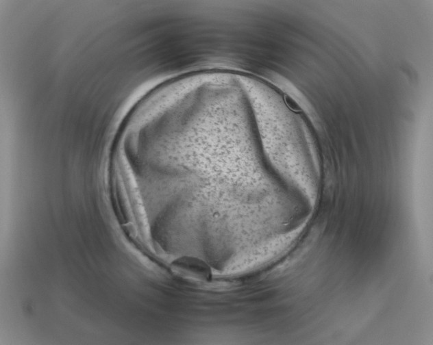 X0000113331339200910051138