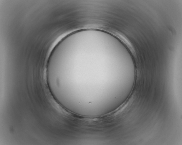 X0000113331340200910051138