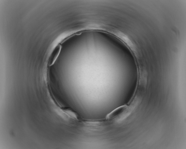 X0000113331342200910051138