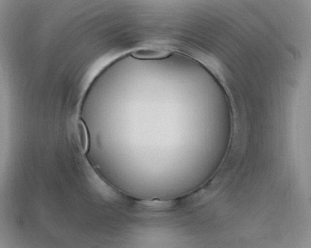 X0000113331344200910051138