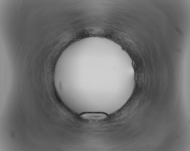 X0000113331345200910051137