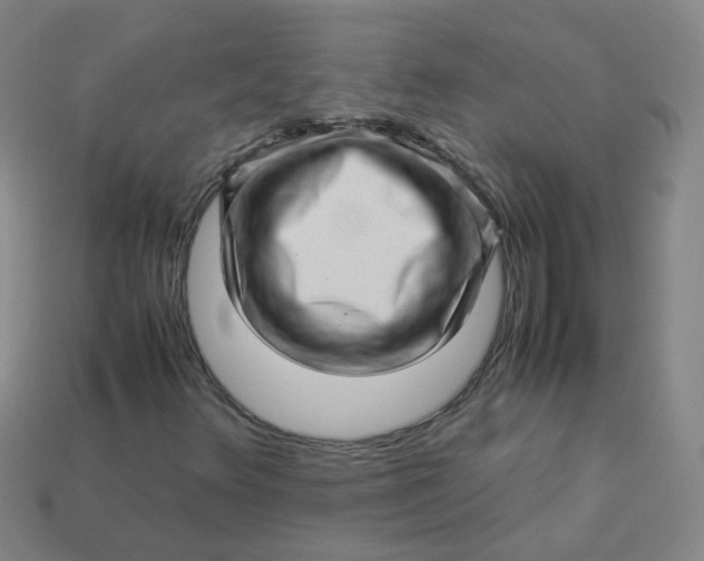 X0000113331348200910051137
