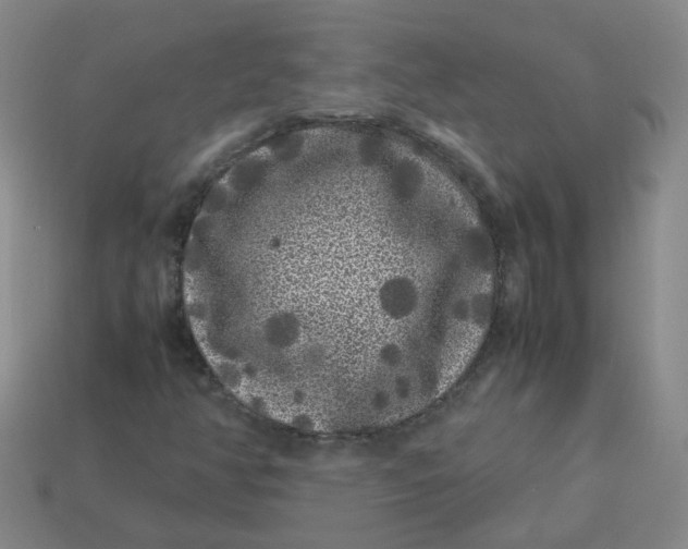X0000113331350200910051137