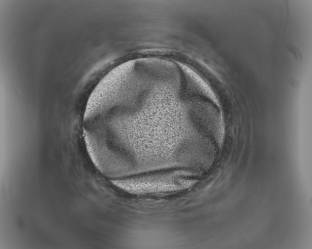 X0000113331351200910051137
