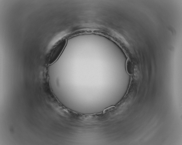 X0000113331352200910051137