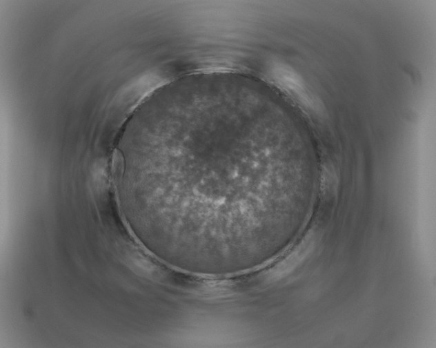 X0000113331353200910051137
