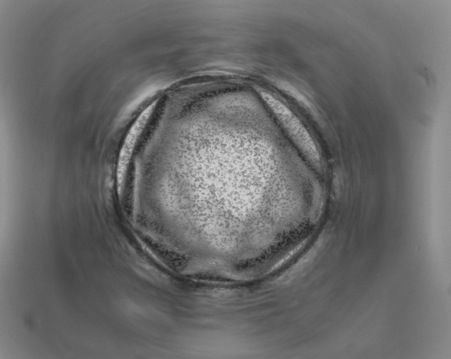 X0000113331355200910051137