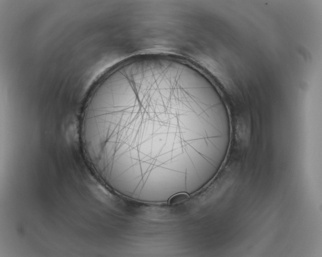 X0000113331356200910051137