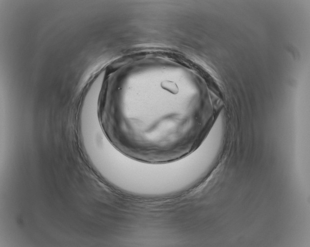 X0000113331357200910051137