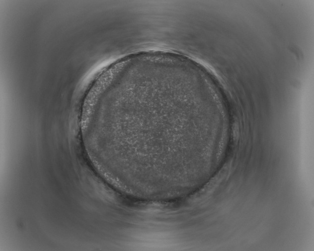 X0000113331359200910051137