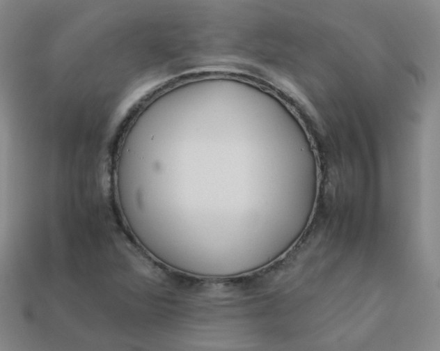 X0000113331360200910051137
