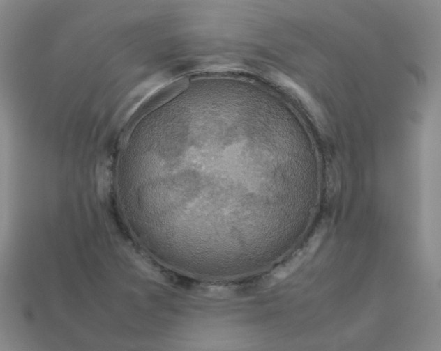 X0000113331361200910051137