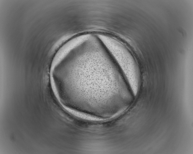 X0000113331363200910051137