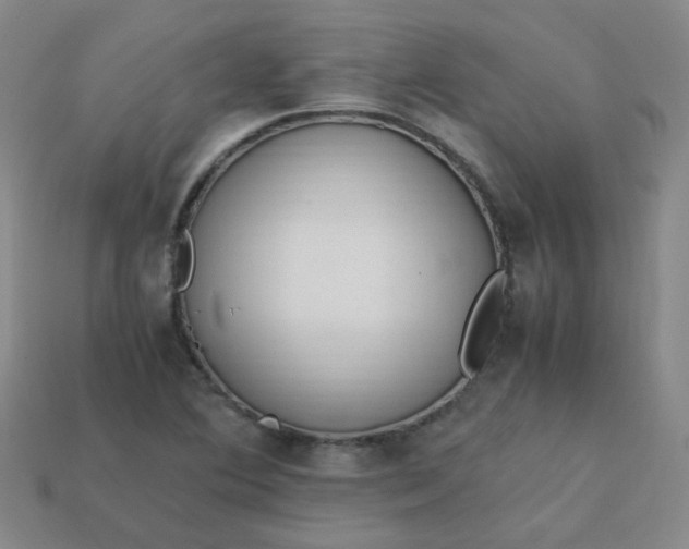 X0000113331364200910051137