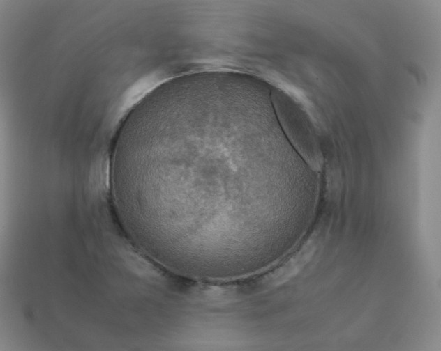 X0000113331365200910051137