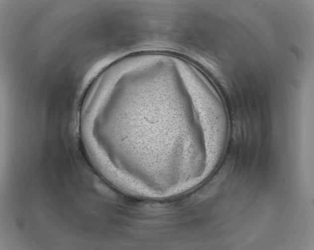 X0000113331366200910051137